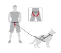 Dingo Pas Do Biegania Z Psem Obwód Do 120cm