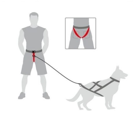 Dingo Pas Do Biegania Z Psem Obwód Do 120cm