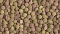 Tetra Tablets TabiMin XL 133 Tabletki