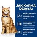 Hill's PD Prescription Diet Feline c/d Multicare 85g