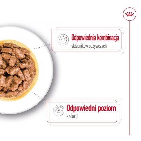 ROYAL CANIN Mini Ageing 12+ 12x85g