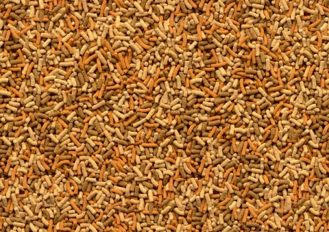 Tetra Pond Variety Sticks 1l