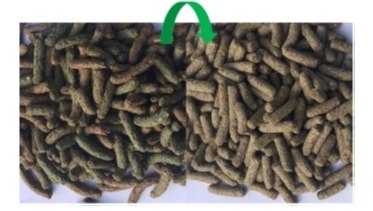 Versele-Laga Complete Cuni Sensitive Dla Królika 500g