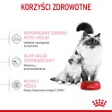 ROYAL CANIN Mother & Babycat 4kg