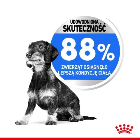 ROYAL CANIN CCN Mini Light Weight Care 3kg