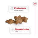 ROYAL CANIN Mini Adult 8kg