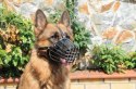 Dingo Kaganiec Metalowy Dla Psa Rozmiar 9